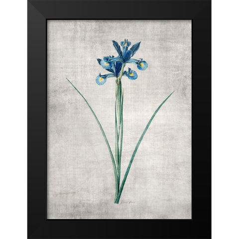 Blue Botanical 2 Black Modern Wood Framed Art Print by Brown, Denise