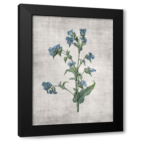 Blue Botanical 4 Black Modern Wood Framed Art Print by Brown, Denise