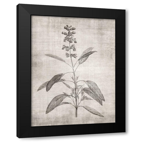 Sepia Botanical 1 Black Modern Wood Framed Art Print by Brown, Denise