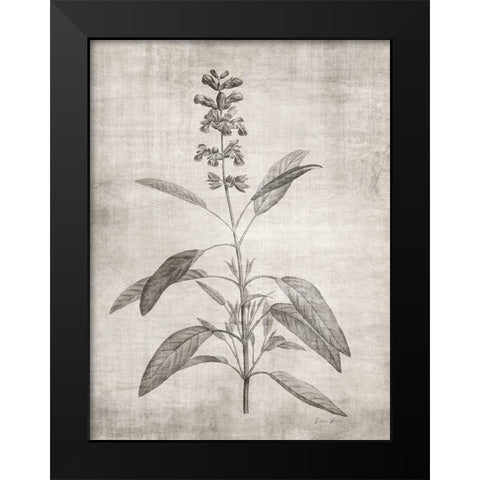 Sepia Botanical 1 Black Modern Wood Framed Art Print by Brown, Denise