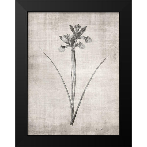 Sepia Botanical 2 Black Modern Wood Framed Art Print by Brown, Denise
