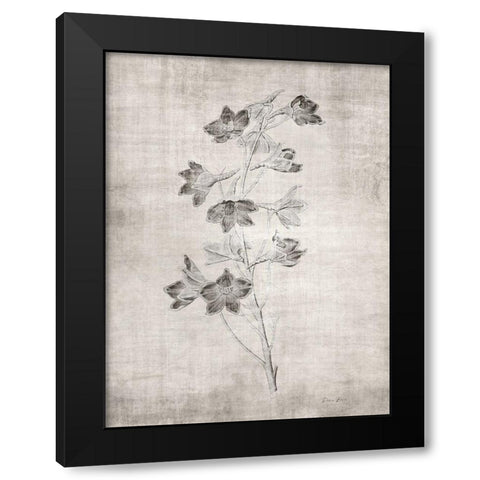 Sepia Botanical 3 Black Modern Wood Framed Art Print with Double Matting by Brown, Denise