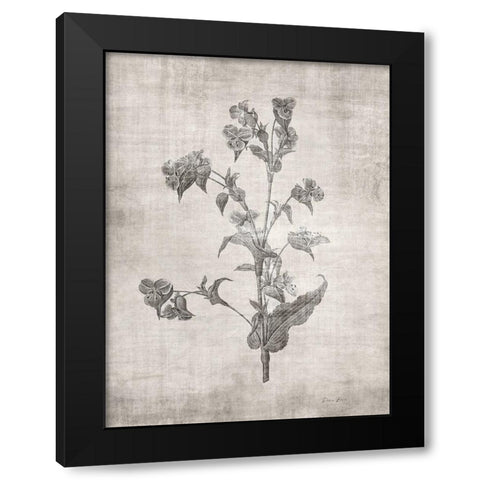Sepia Botanical 4 Black Modern Wood Framed Art Print by Brown, Denise