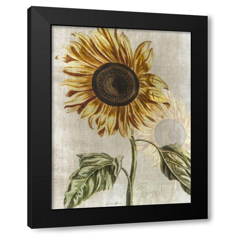 Sunflower 1 Black Modern Wood Framed Art Print with Double Matting by Brown, Denise