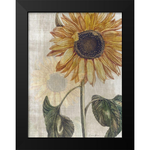 Sunflower 2 Black Modern Wood Framed Art Print by Brown, Denise