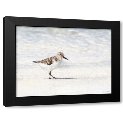 Sandpiper Black Modern Wood Framed Art Print with Double Matting by Brown, Denise
