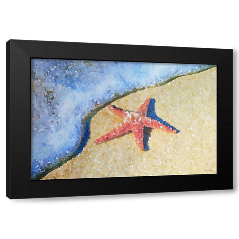 Washed on Shore Black Modern Wood Framed Art Print with Double Matting by Brown, Denise