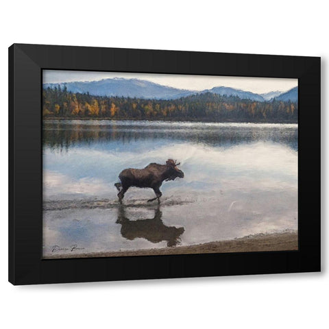 Moose Black Modern Wood Framed Art Print with Double Matting by Brown, Denise
