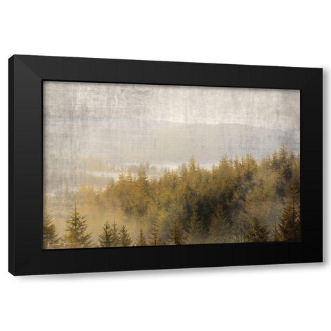 Pine Tops Black Modern Wood Framed Art Print with Double Matting by Brown, Denise