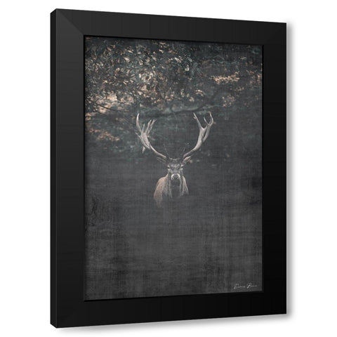 Trophy Buck Black Modern Wood Framed Art Print by Brown, Denise