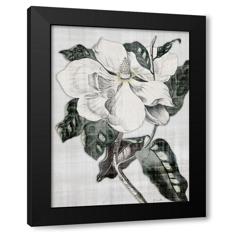 Southern Magnolia 1 Black Modern Wood Framed Art Print by Brown, Denise