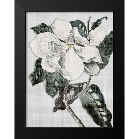 Southern Magnolia 1 Black Modern Wood Framed Art Print by Brown, Denise