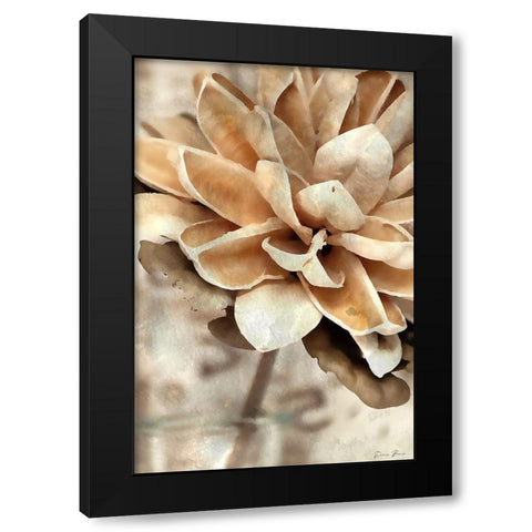 Magnolia 1 Black Modern Wood Framed Art Print with Double Matting by Brown, Denise