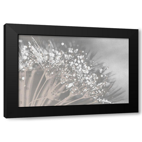 Dandelion 2 Black Modern Wood Framed Art Print by Brown, Denise