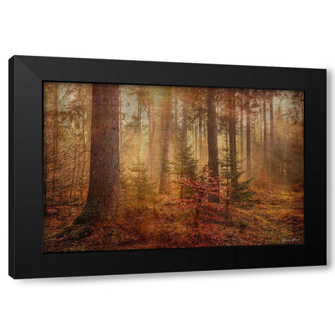 From the Heavens Black Modern Wood Framed Art Print with Double Matting by Brown, Denise