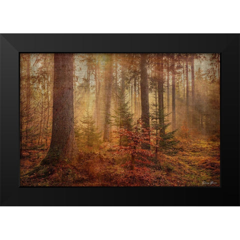 From the Heavens Black Modern Wood Framed Art Print by Brown, Denise