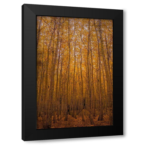 Peace Black Modern Wood Framed Art Print with Double Matting by Brown, Denise