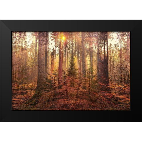 Sanctuary Black Modern Wood Framed Art Print by Brown, Denise