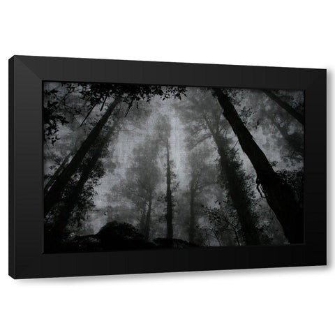 Trees and Clouds 2 Black Modern Wood Framed Art Print by Brown, Denise