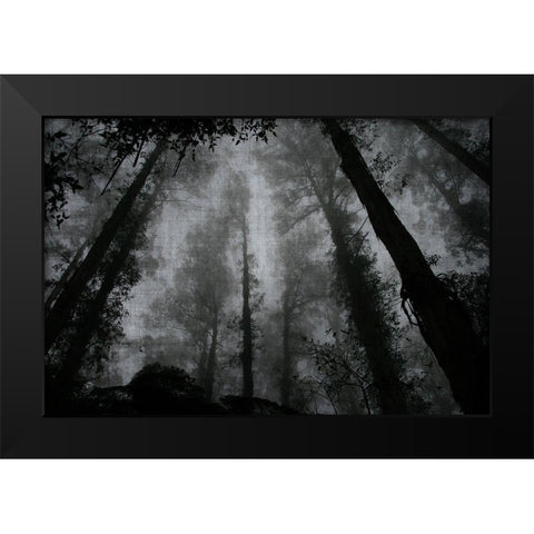 Trees and Clouds 2 Black Modern Wood Framed Art Print by Brown, Denise