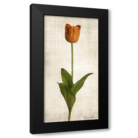 Stem 1 Black Modern Wood Framed Art Print by Brown, Denise