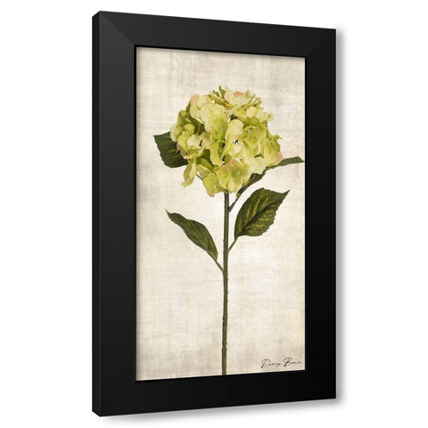 Stem 2 Black Modern Wood Framed Art Print with Double Matting by Brown, Denise