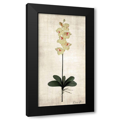 Stem 3 Black Modern Wood Framed Art Print with Double Matting by Brown, Denise