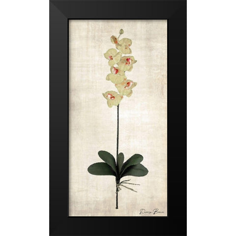 Stem 3 Black Modern Wood Framed Art Print by Brown, Denise