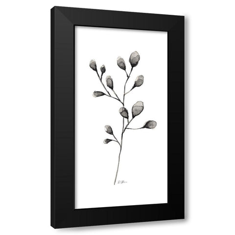 Botanical Stem 2 Black Modern Wood Framed Art Print with Double Matting by Brown, Denise
