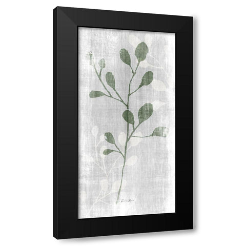 Stem in Nature 2 Black Modern Wood Framed Art Print by Brown, Denise