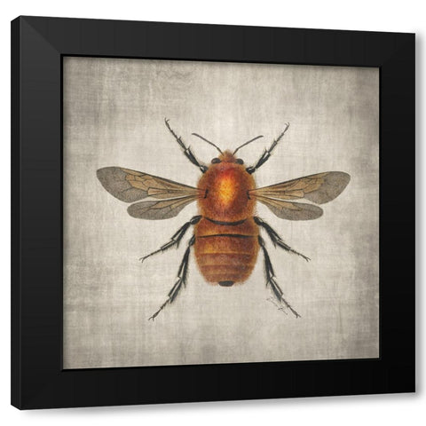 Brilliant Bee 1 Black Modern Wood Framed Art Print with Double Matting by Brown, Denise