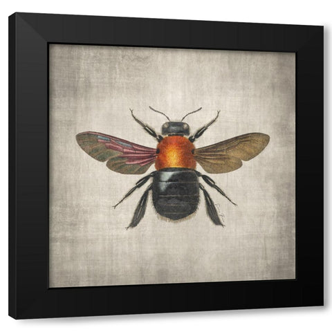 Brilliant Bee 2 Black Modern Wood Framed Art Print with Double Matting by Brown, Denise