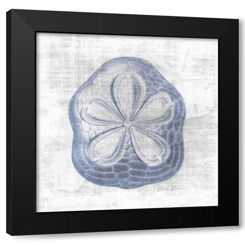 Sand Dollar 2 v2 Black Modern Wood Framed Art Print with Double Matting by Brown, Denise