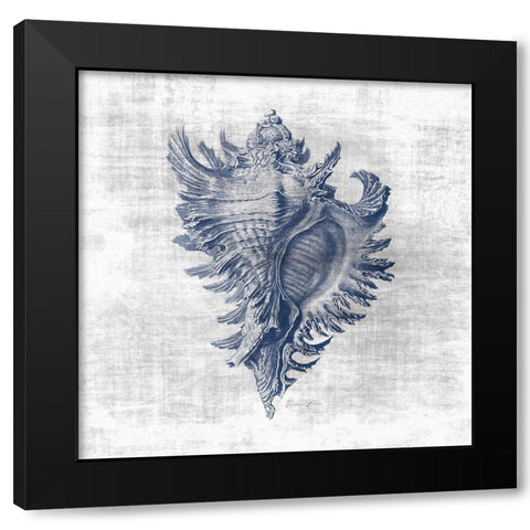 Sea Life 1 Black Modern Wood Framed Art Print with Double Matting by Brown, Denise