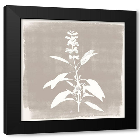 Sophisticated Floral 3 Black Modern Wood Framed Art Print with Double Matting by Brown, Denise