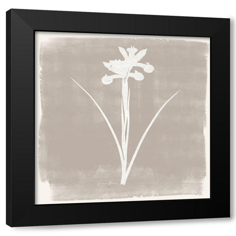 Sophisticated Floral 4 Black Modern Wood Framed Art Print by Brown, Denise
