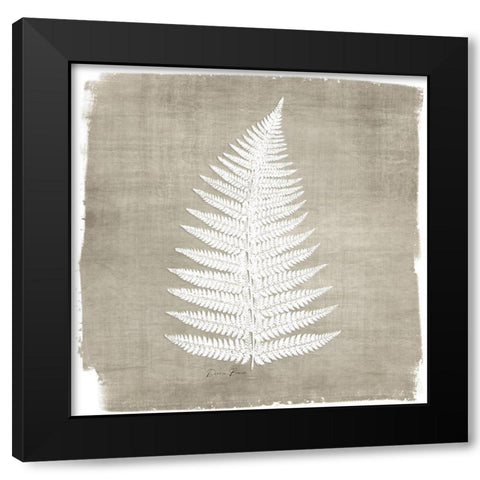 Natures Fern 1 Black Modern Wood Framed Art Print with Double Matting by Brown, Denise