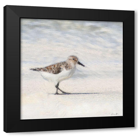 Eclipsed Sandpiper Black Modern Wood Framed Art Print by Brown, Denise