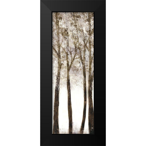 Wooded Grove 1 Black Modern Wood Framed Art Print by Charest, Doris