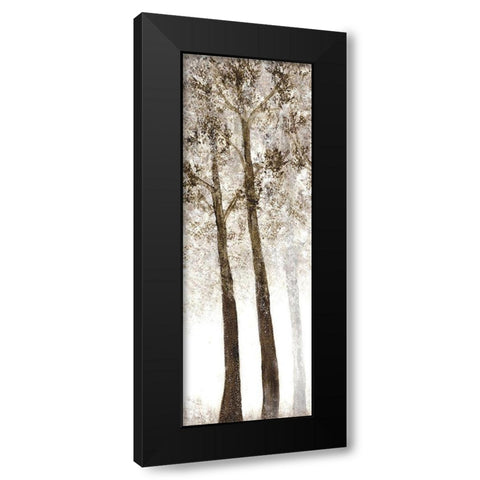 Wooded Grove 2 Black Modern Wood Framed Art Print by Charest, Doris