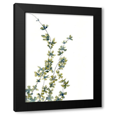 Growing Plants Black Modern Wood Framed Art Print with Double Matting by Charest, Doris