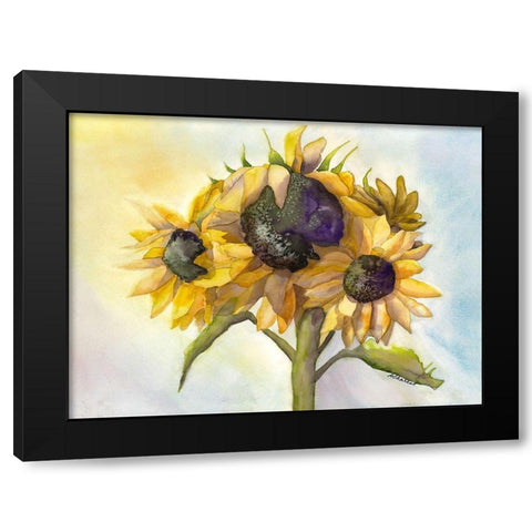 Sunflower Bloom 1 Black Modern Wood Framed Art Print with Double Matting by Charest, Doris