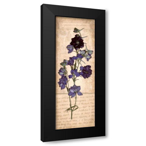 July Larkspur Black Modern Wood Framed Art Print by Stimson, Diane
