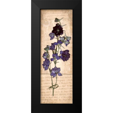 July Larkspur Black Modern Wood Framed Art Print by Stimson, Diane
