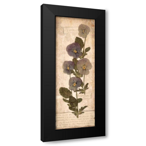 February Violet Black Modern Wood Framed Art Print with Double Matting by Stimson, Diane
