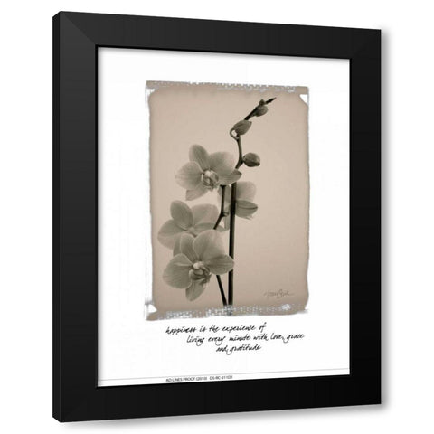 Orchid Black Modern Wood Framed Art Print with Double Matting by Stimson, Diane