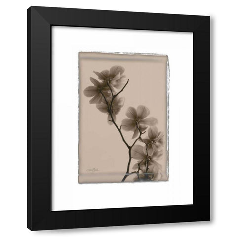 Magnolias Black Modern Wood Framed Art Print by Stimson, Diane