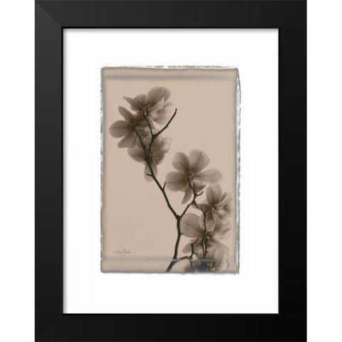 Magnolias Black Modern Wood Framed Art Print by Stimson, Diane