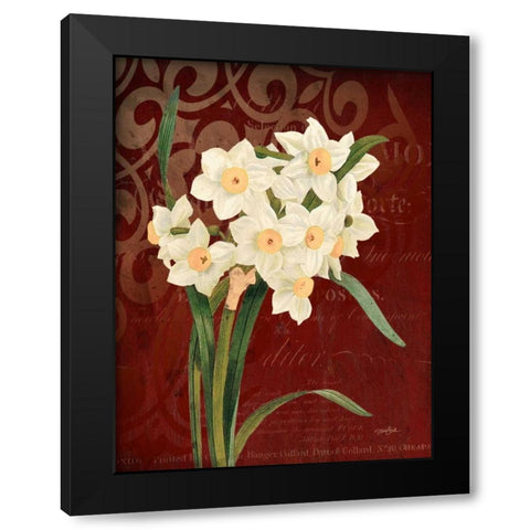 Narcissus 1 Black Modern Wood Framed Art Print with Double Matting by Stimson, Diane