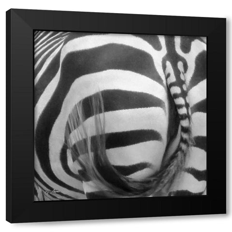 IntoThe Wild 3 Black Modern Wood Framed Art Print with Double Matting by Stimson, Diane